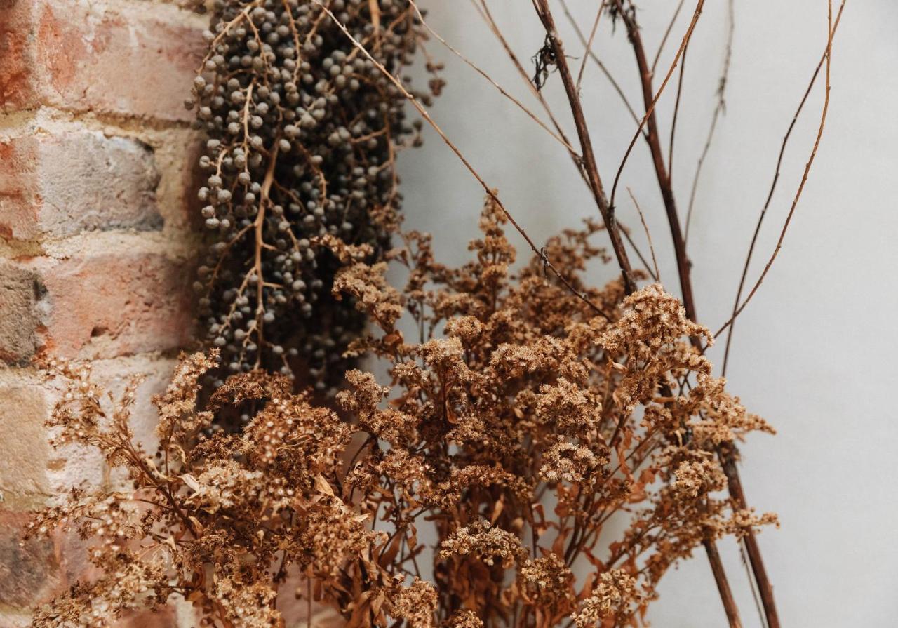 Spinks Nest - A Boutique Cottage Near Holt, North Norfolk Hunworth المظهر الخارجي الصورة